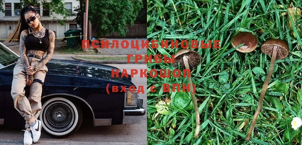 ешки Алзамай
